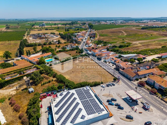 Terreno para Venda em Alpiarça Foto 6