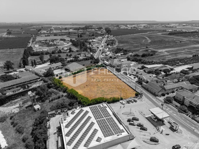 Terreno para Venda em Alpiarça Foto 7