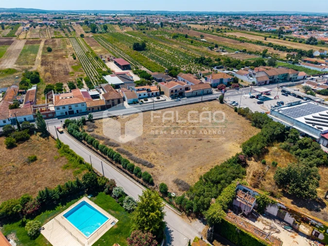 Terreno para Venda em Alpiarça Foto 11