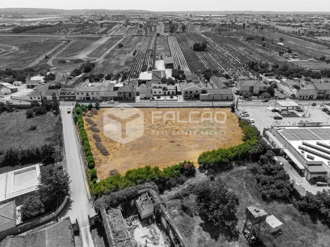 Terreno para Venda em Alpiarça Foto 10
