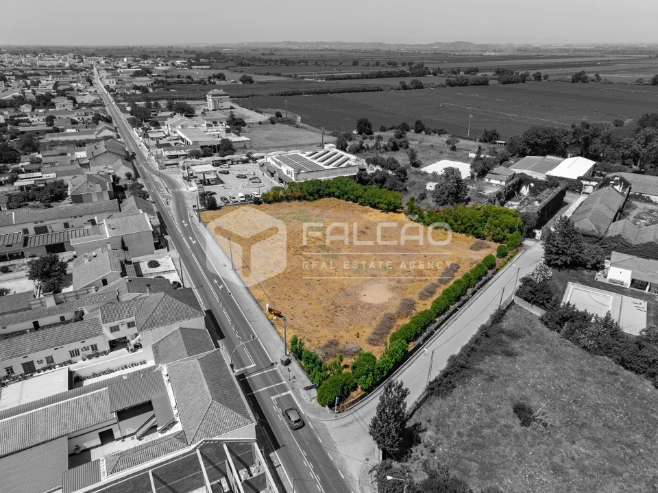 Terreno para Venda em Alpiarça Foto 18
