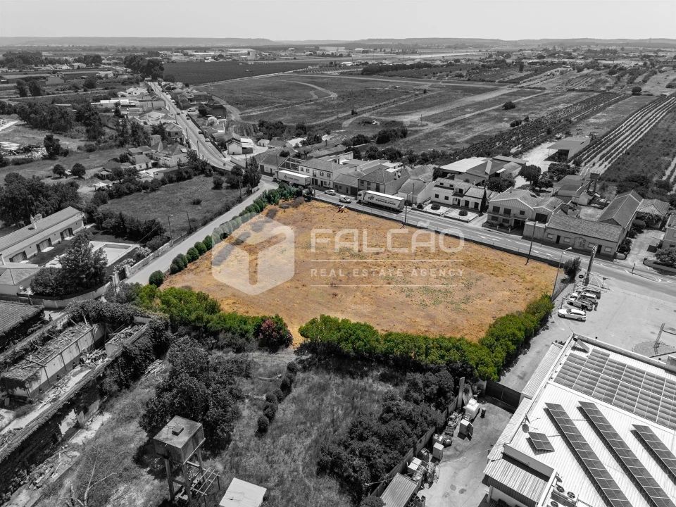 Terreno para Venda em Alpiarça Foto 9