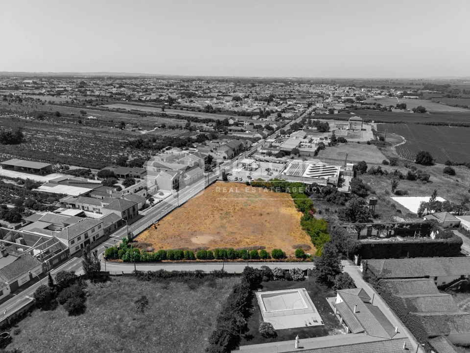 Terreno para Venda em Alpiarça Foto 14