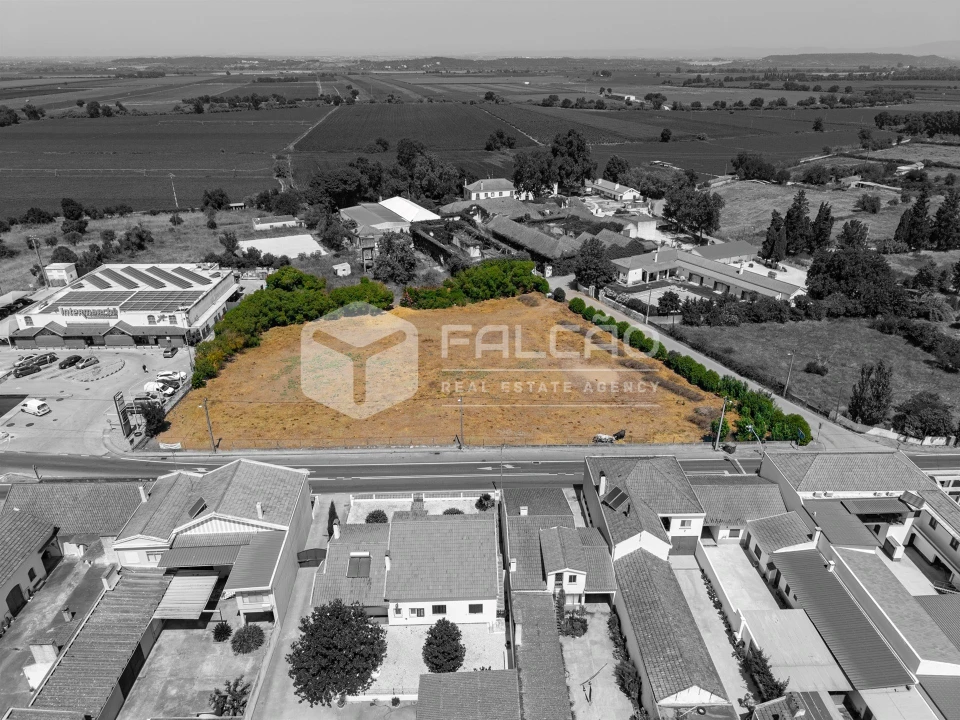 Terreno para Venda em Alpiarça Foto 20