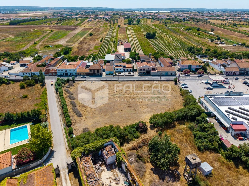 Terreno para Venda em Alpiarça Foto 4