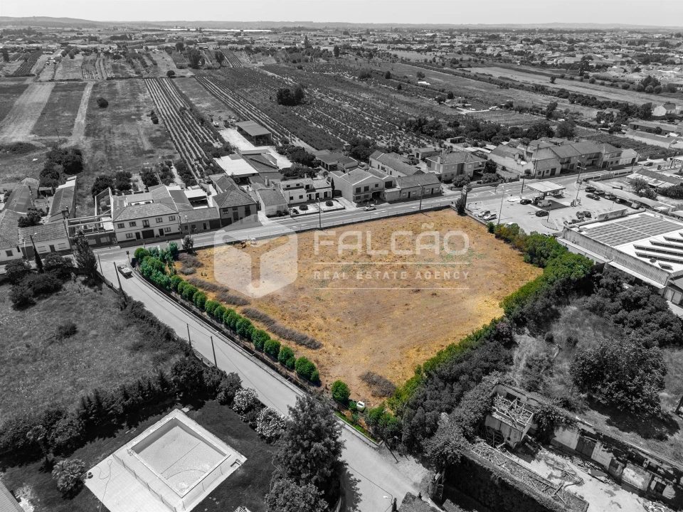 Terreno para Venda em Alpiarça Foto 12