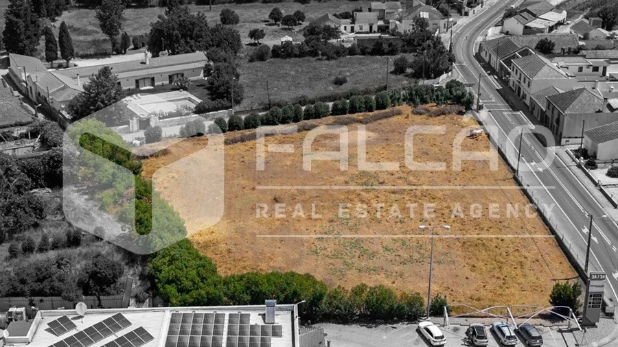 Terreno para Venda em Alpiarça