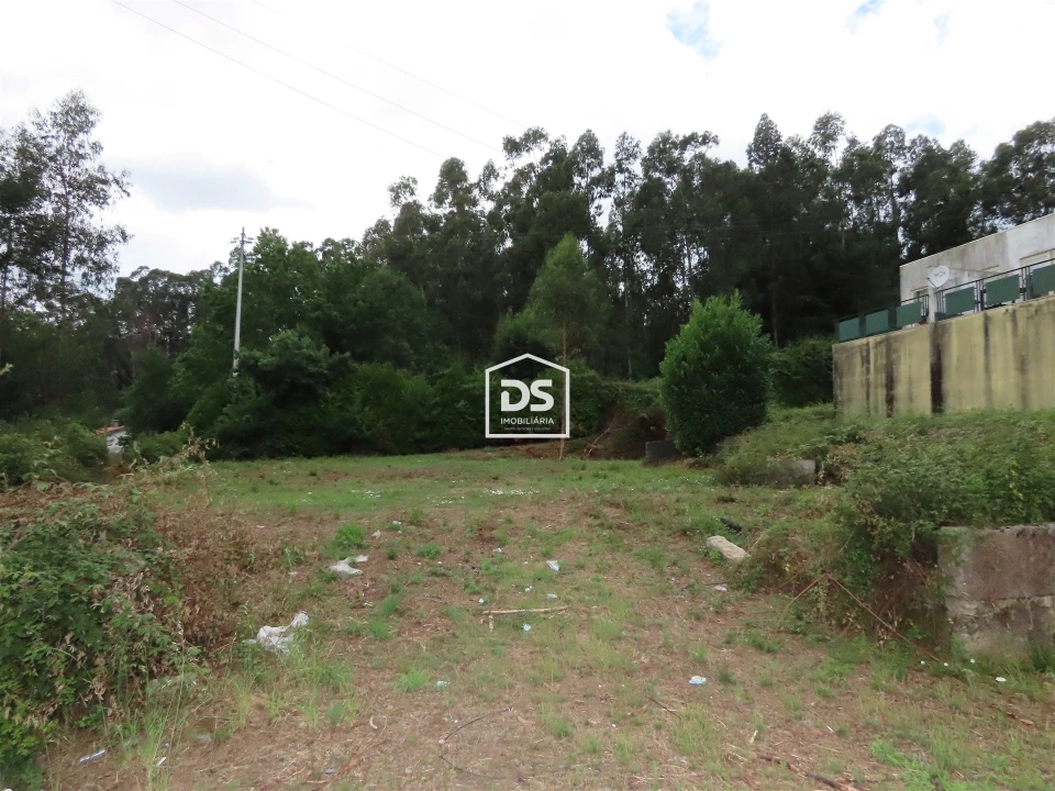 Quinta T0 para Venda em Abragão Foto 16