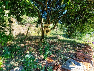 Moradia T0 para Venda em Alpendorada, Várzea e Torrão