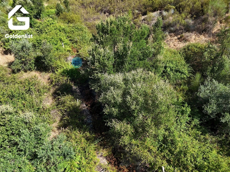Terreno Agricola ou Rústico para Venda em Vila Velha de Rodão Foto 18