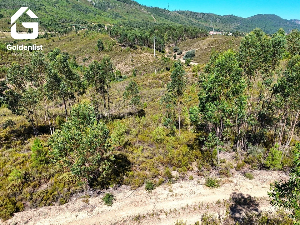 Terreno Agricola ou Rústico para Venda em Vila Velha de Rodão Foto 8