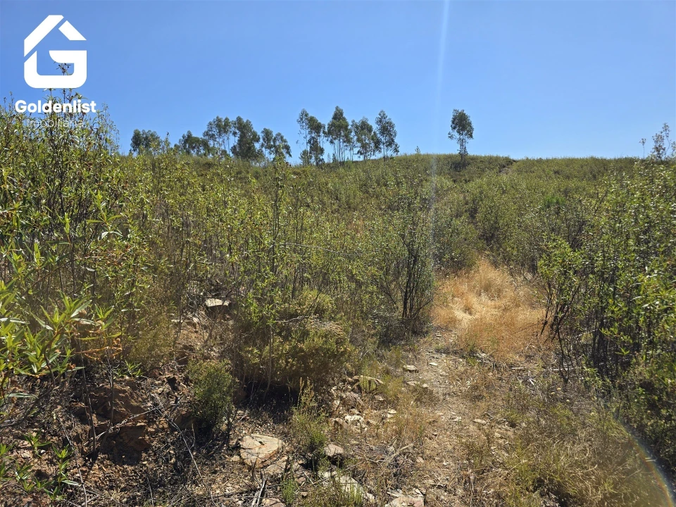 Terreno Agricola ou Rústico para Venda em Vila Velha de Rodão Foto 33