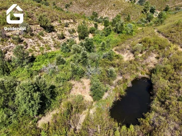 Terreno Agricola ou Rústico para Venda em Vila Velha de Rodão