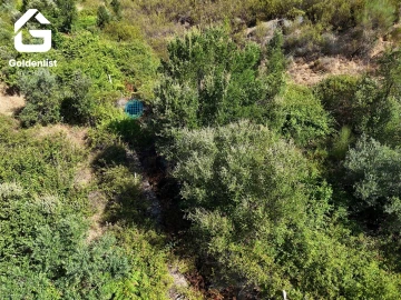 Terreno Agricola ou Rústico para Venda em Vila Velha de Rodão