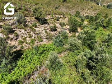 Terreno Agricola ou Rústico para Venda em Vila Velha de Rodão