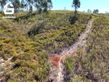 Terreno Agricola ou Rústico para Venda em Vila Velha de Rodão