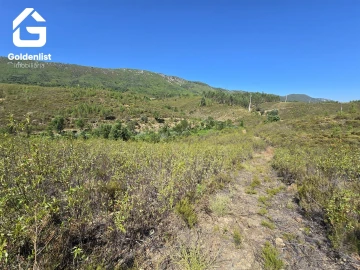 Terreno Agricola ou Rústico para Venda em Vila Velha de Rodão