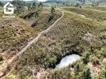 Terreno Agricola ou Rústico para Venda em Vila Velha de Rodão