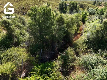 Terreno Agricola ou Rústico para Venda em Vila Velha de Rodão