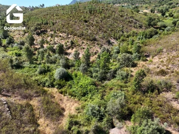 Terreno Agricola ou Rústico para Venda em Vila Velha de Rodão