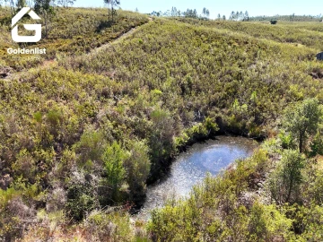 Terreno Agricola ou Rústico para Venda em Vila Velha de Rodão
