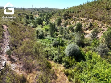 Terreno Agricola ou Rústico para Venda em Vila Velha de Rodão