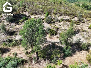 Terreno Agricola ou Rústico para Venda em Vila Velha de Rodão