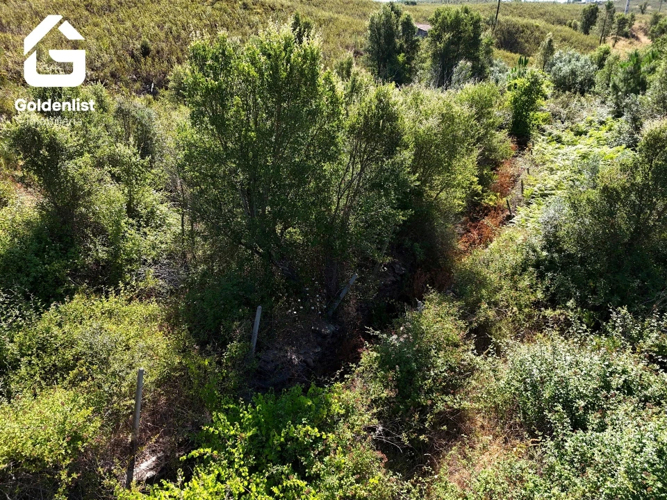 Terreno Agricola ou Rústico para Venda em Vila Velha de Rodão Foto 24