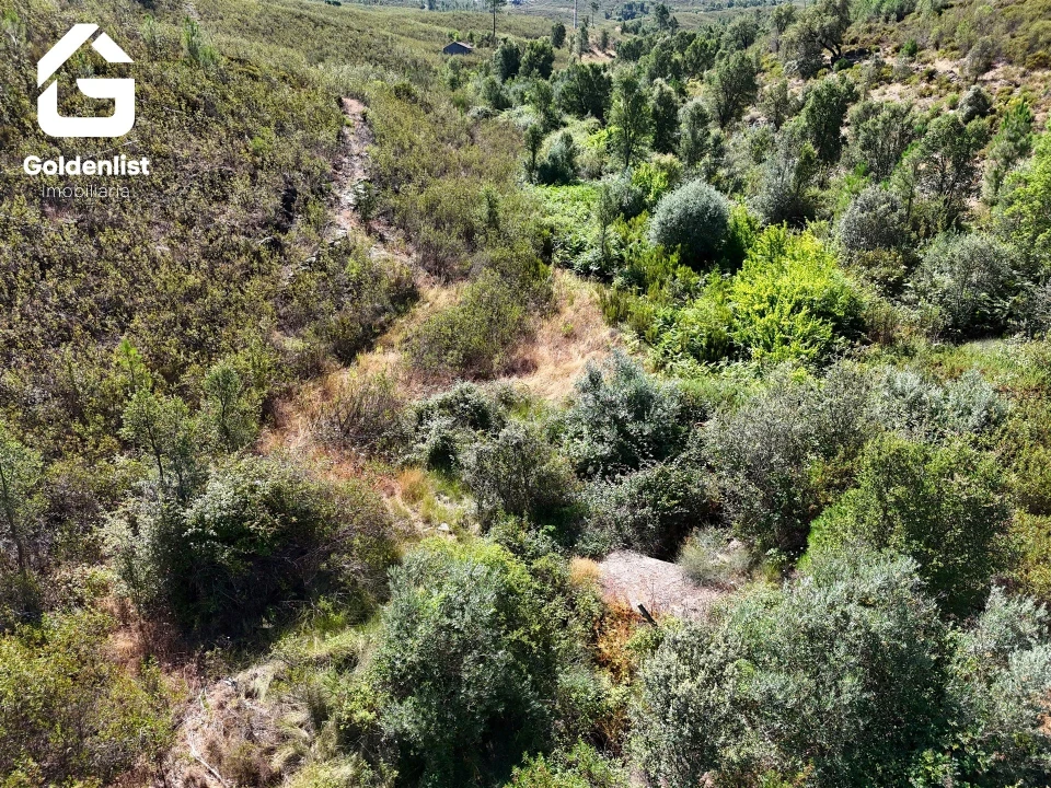 Terreno Agricola ou Rústico para Venda em Vila Velha de Rodão Foto 15