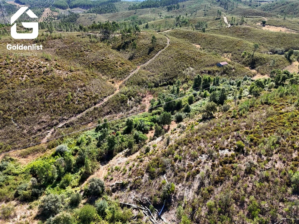 Terreno Agricola ou Rústico para Venda em Vila Velha de Rodão Foto 21