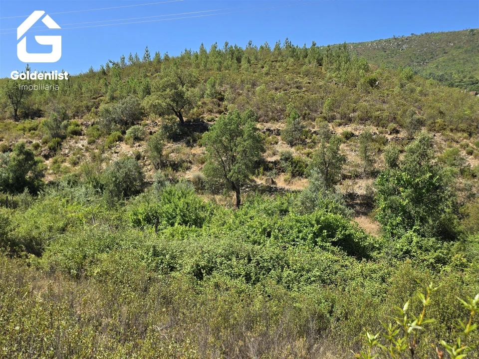 Terreno Agricola ou Rústico para Venda em Vila Velha de Rodão Foto 32