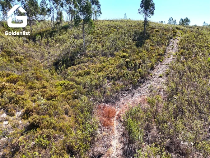 Terreno Agricola ou Rústico para Venda em Vila Velha de Rodão Foto 7