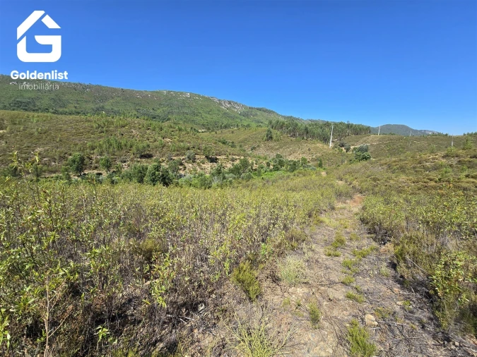 Terreno Agricola ou Rústico para Venda em Vila Velha de Rodão Foto 3
