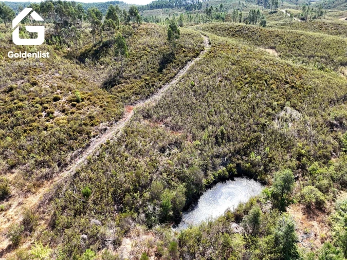 Terreno Agricola ou Rústico para Venda em Vila Velha de Rodão Foto 2