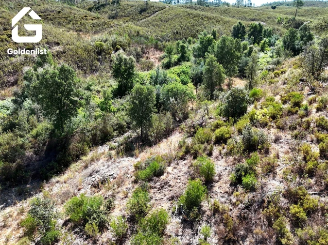 Terreno Agricola ou Rústico para Venda em Vila Velha de Rodão Foto 20