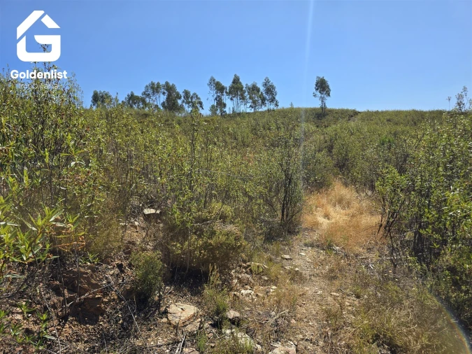 Terreno Agricola ou Rústico para Venda em Vila Velha de Rodão Foto 33