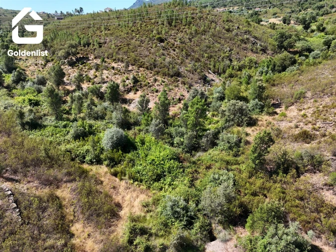 Terreno Agricola ou Rústico para Venda em Vila Velha de Rodão Foto 13
