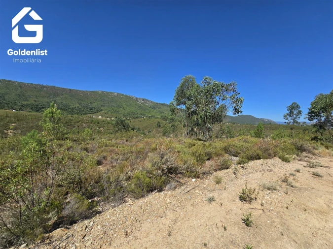 Terreno Agricola ou Rústico para Venda em Vila Velha de Rodão Foto 36