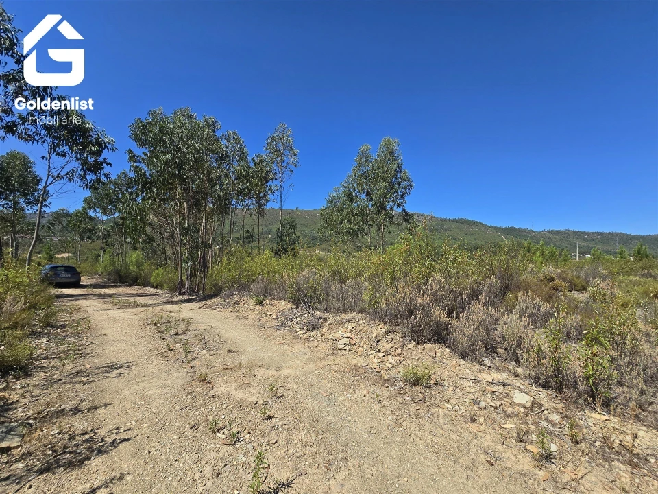 Terreno Agricola ou Rústico para Venda em Vila Velha de Rodão Foto 34