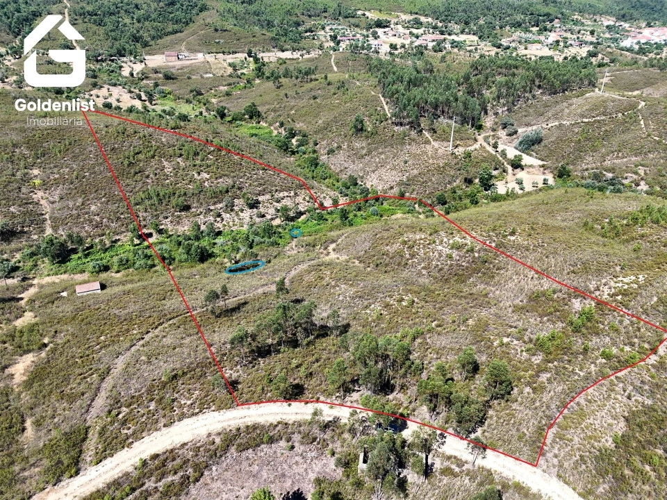 Terreno Agricola ou Rústico para Venda em Vila Velha de Rodão Foto 31