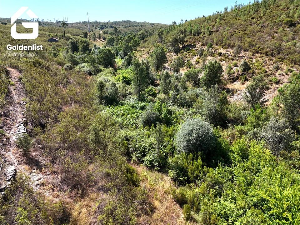 Terreno Agricola ou Rústico para Venda em Vila Velha de Rodão Foto 23