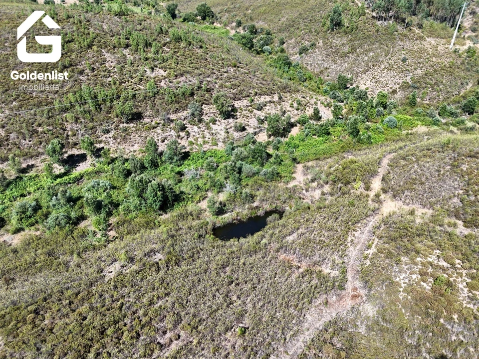 Terreno Agricola ou Rústico para Venda em Vila Velha de Rodão Foto 16