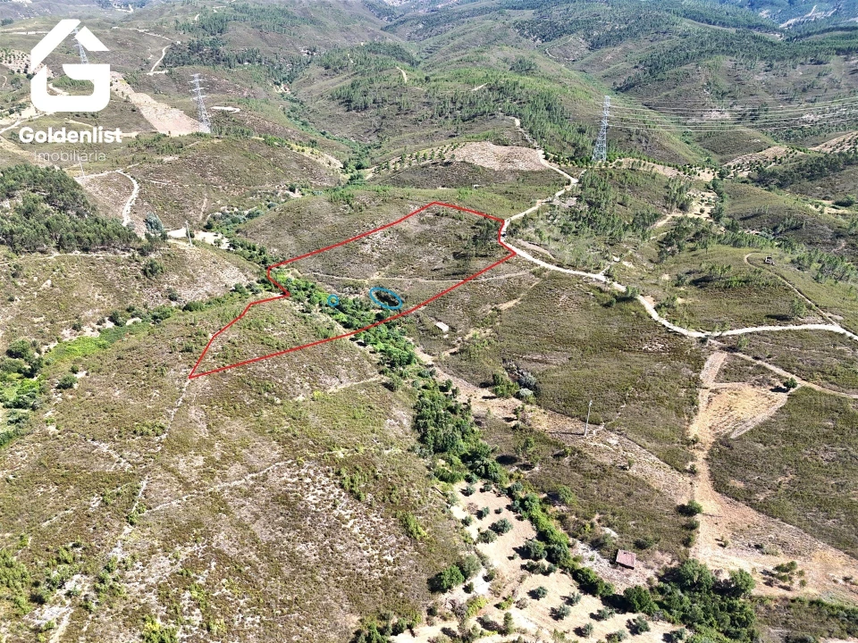 Terreno Agricola ou Rústico para Venda em Vila Velha de Rodão Foto 28