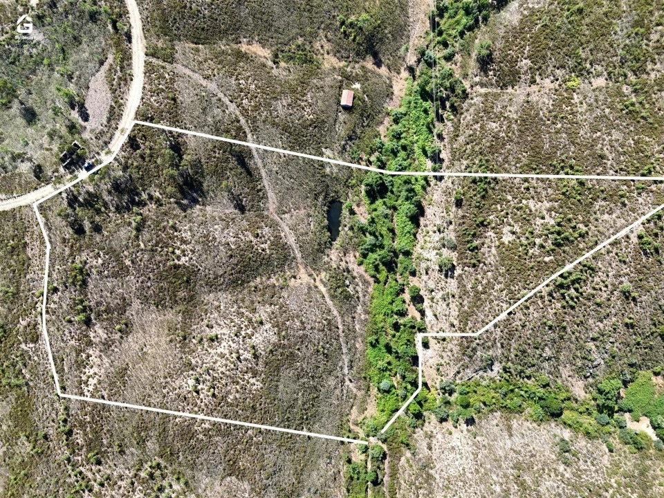 Terreno Agricola ou Rústico para Venda em Vila Velha de Rodão Foto 3