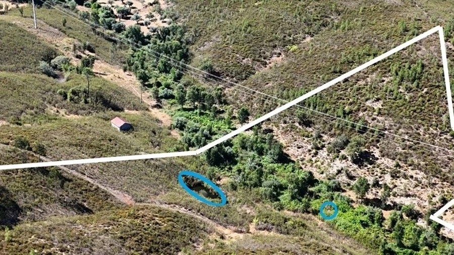 Terreno Agricola ou Rústico para Venda em Vila Velha de Rodão