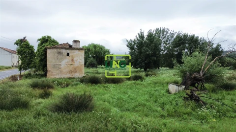 Terreno Agricola ou Rústico para Venda em São Miguel do Rio Torto e Rossio Ao Sul do Tejo