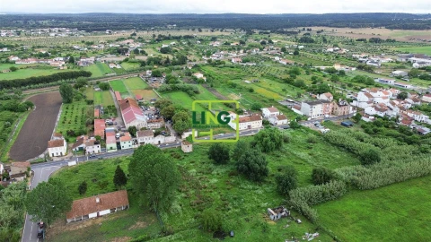 Terreno Agricola ou Rústico para Venda em São Miguel do Rio Torto e Rossio Ao Sul do Tejo