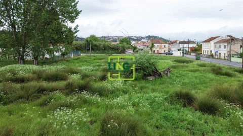 Terreno Agricola ou Rústico para Venda em São Miguel do Rio Torto e Rossio Ao Sul do Tejo