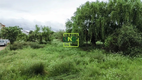 Terreno Agricola ou Rústico para Venda em São Miguel do Rio Torto e Rossio Ao Sul do Tejo