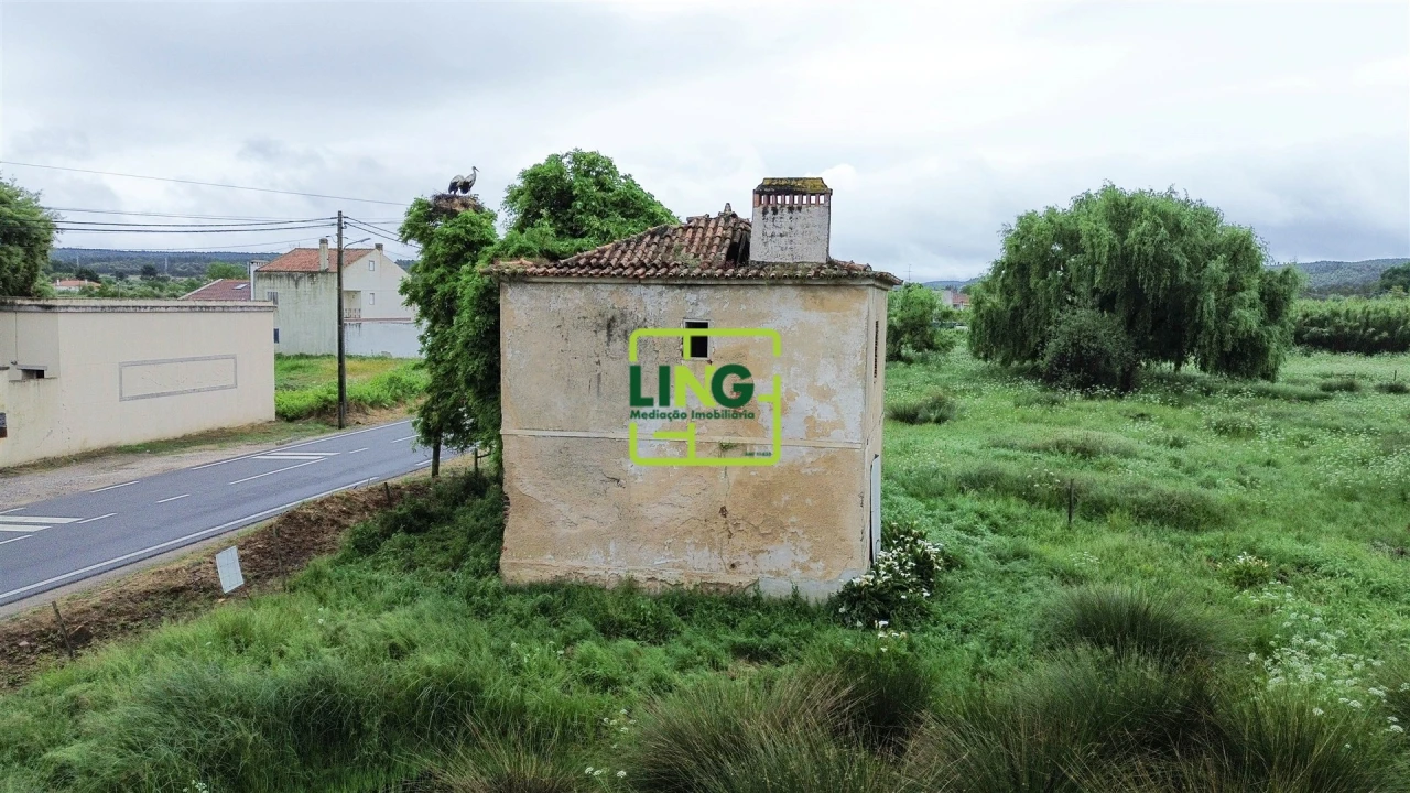 Terreno Agricola ou Rústico para Venda em São Miguel do Rio Torto e Rossio Ao Sul do Tejo Foto 12